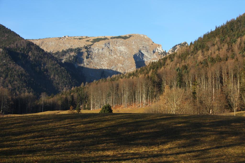 Haus Seeschwalbe Sankt Wolfgang im Salzkammergut Exterior photo